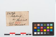 Etikett zu Bronzenagel (NHMW-PRAE-024526)